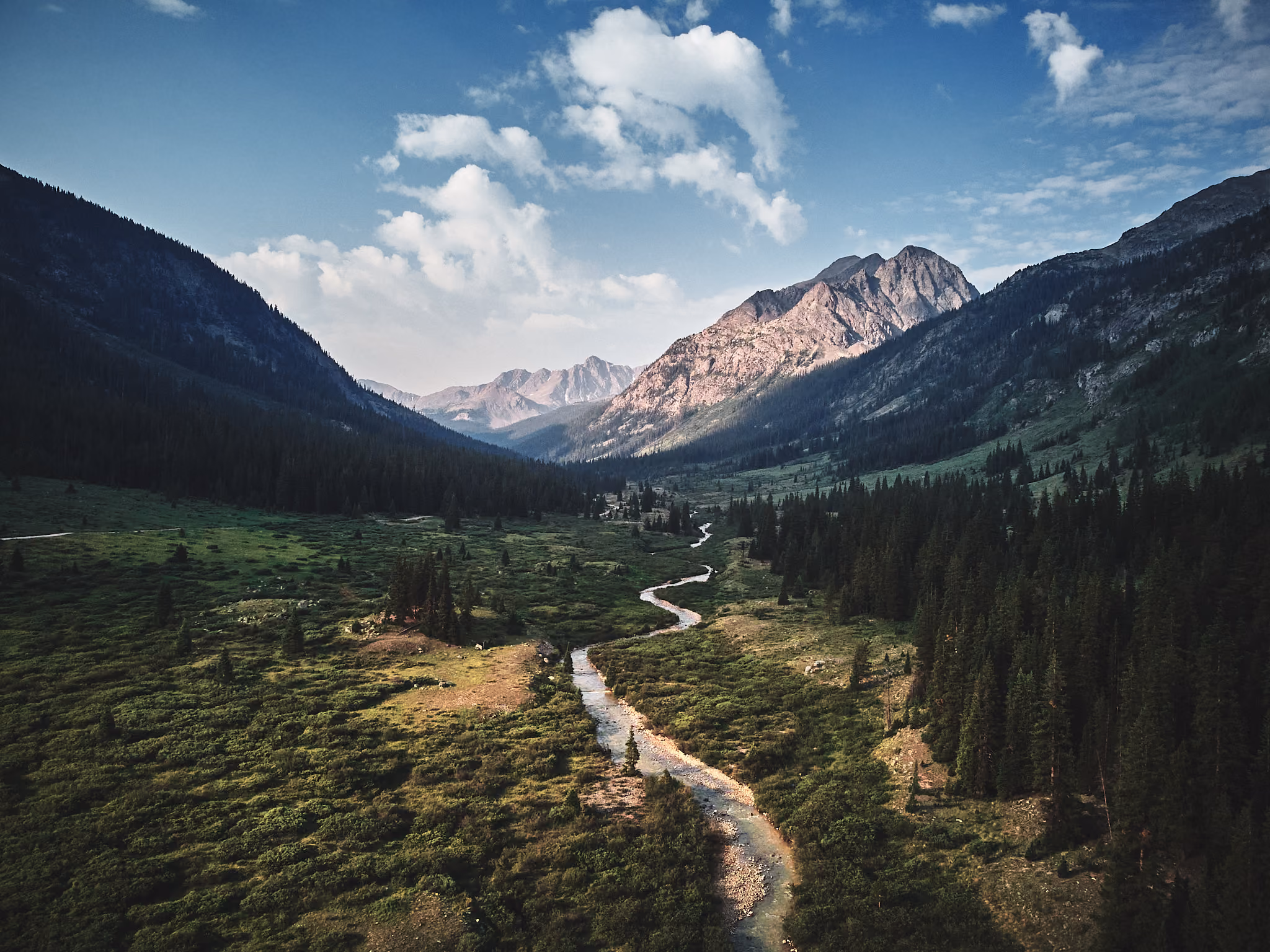 White River Natl. Forest, Colorado · July 2021