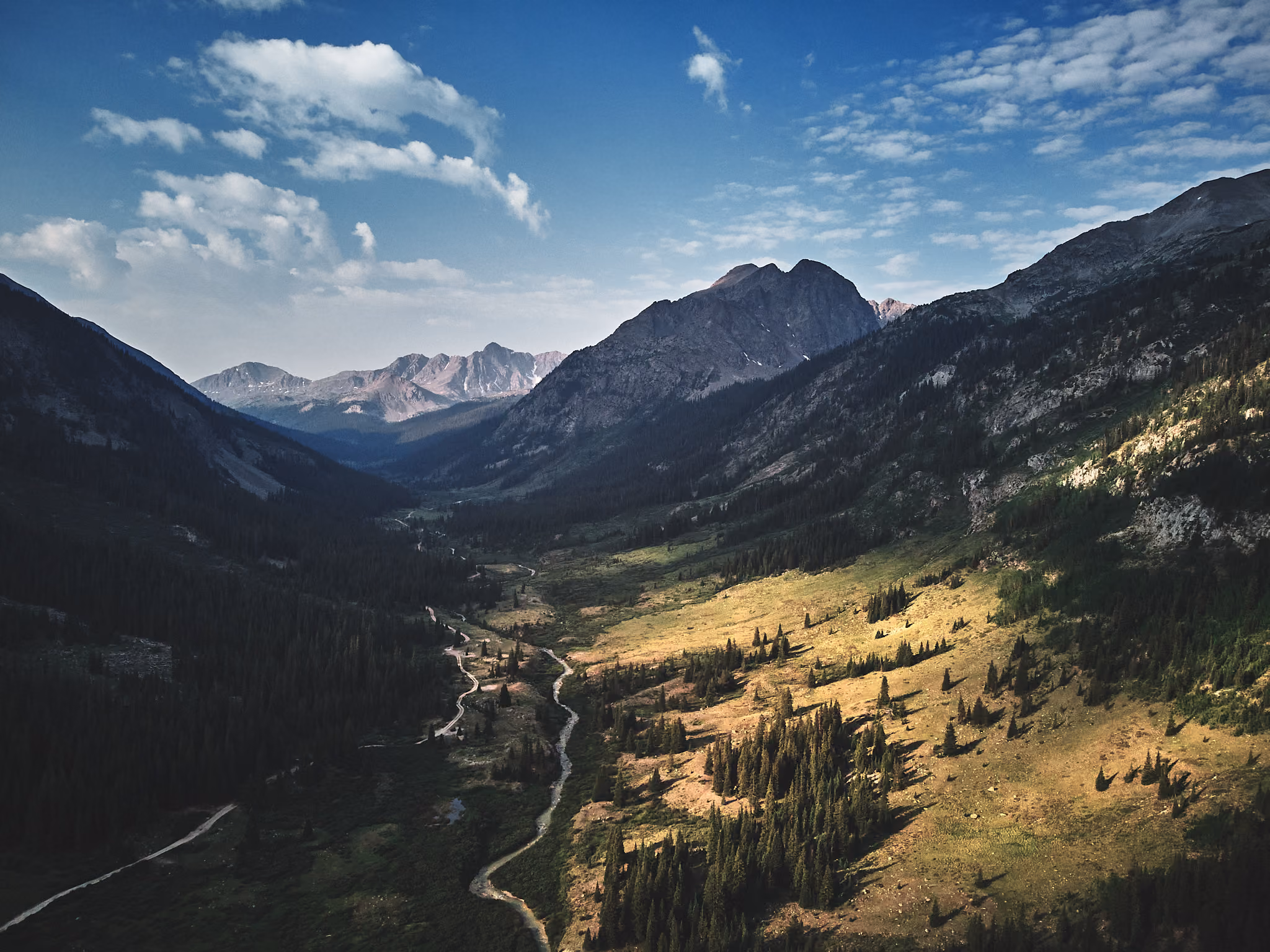 White River Natl. Forest, Colorado · July 2021