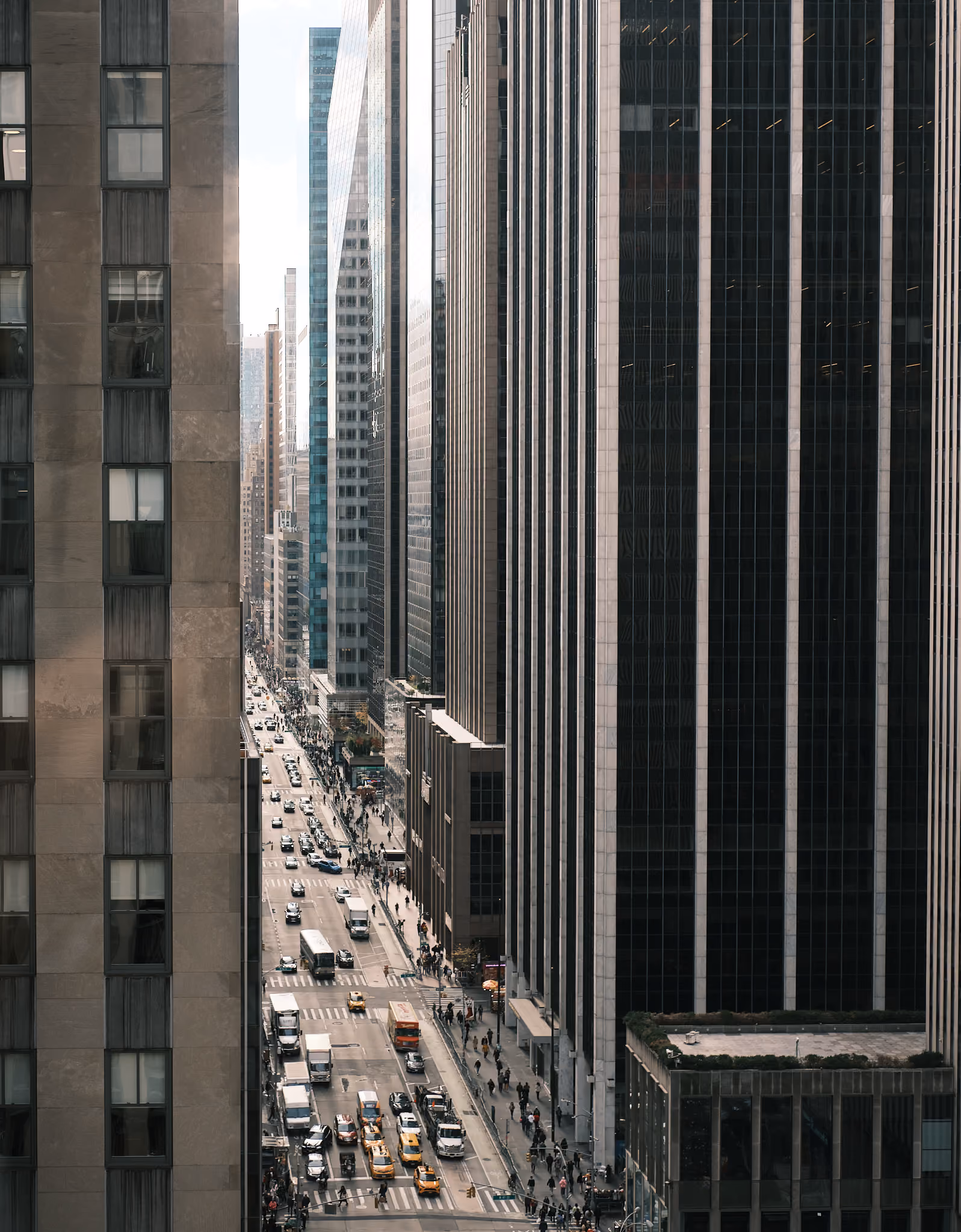 New York, New York · November 2023