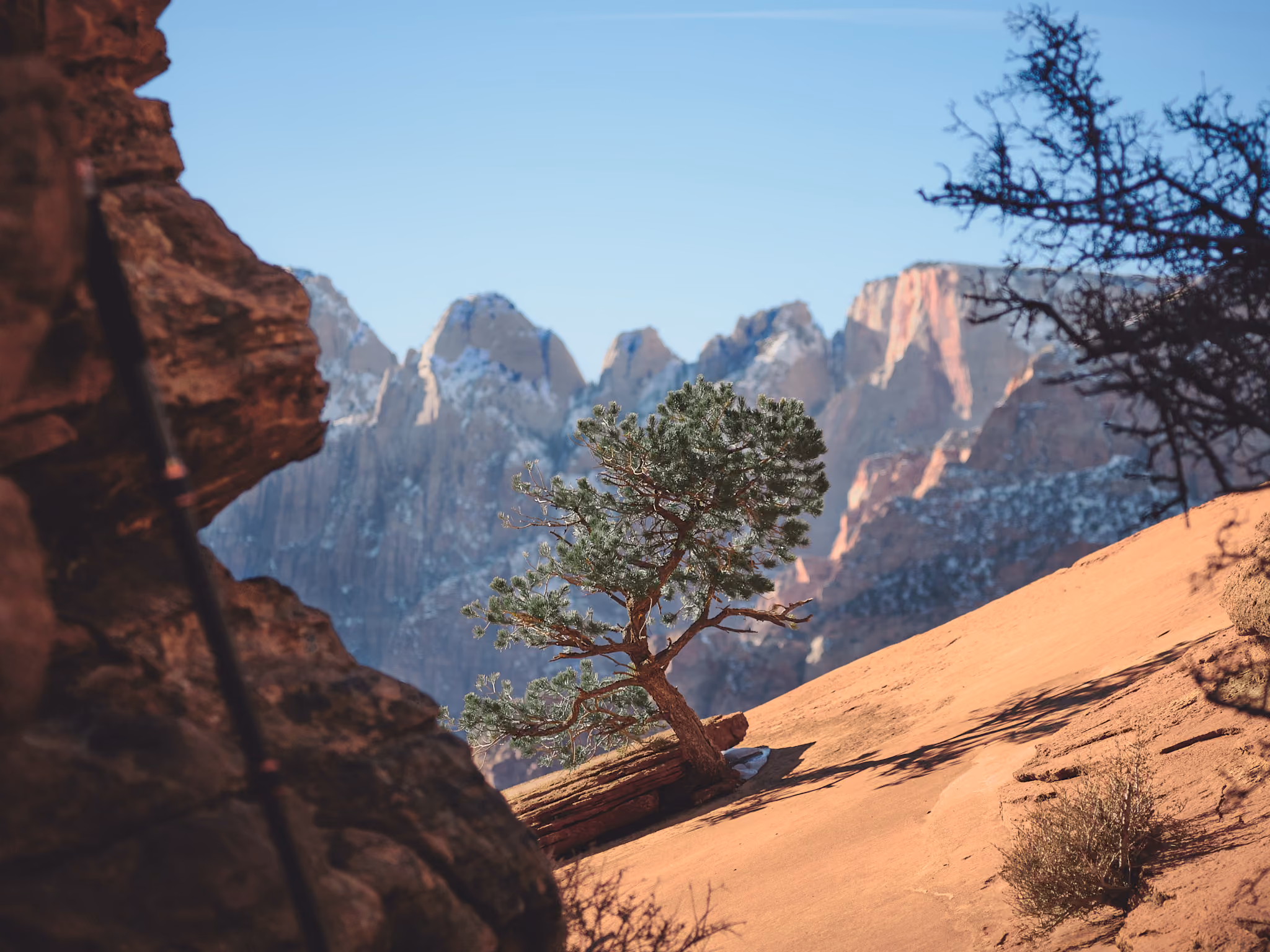 Zion Natl. Park, Utah · January 2022